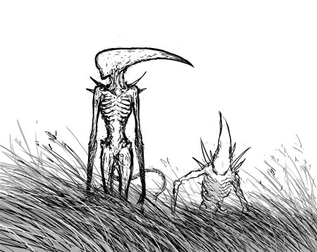 Неоморф и ксеноморф