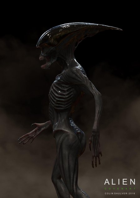 Alien covenant protomorph