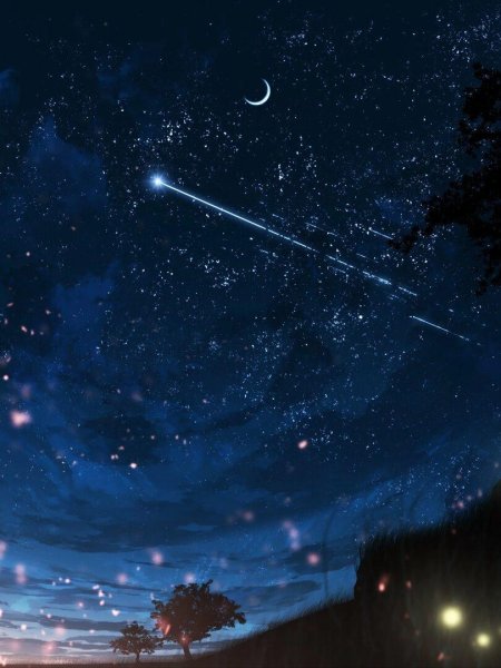 Звёздное ночное небо