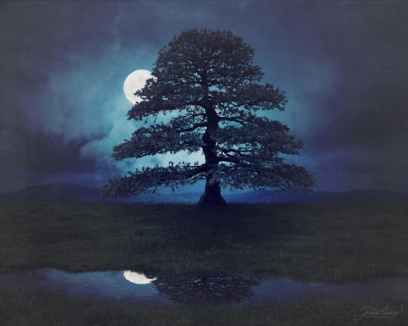 Пейзаж луна