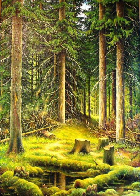 Картина шишкина дебри