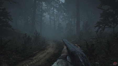 Pine harbor игра