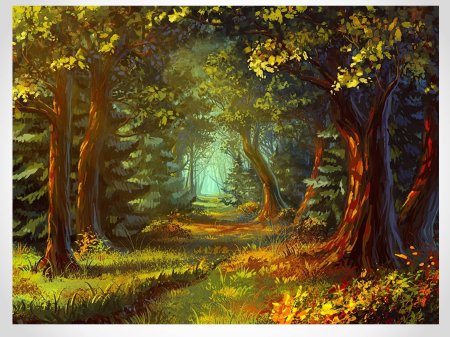 Сказочные пейзажи леса