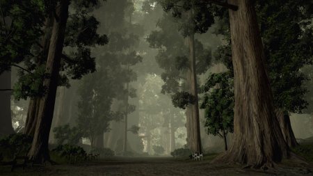 Пейзажи лес