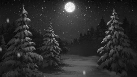 Зимний лес ночь