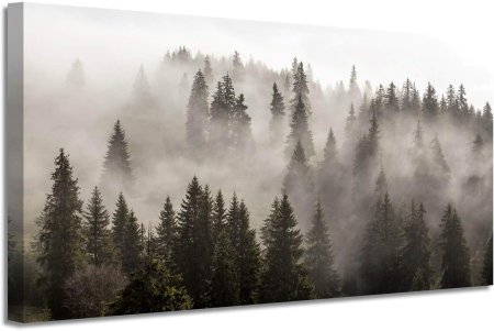 Лес в тумане