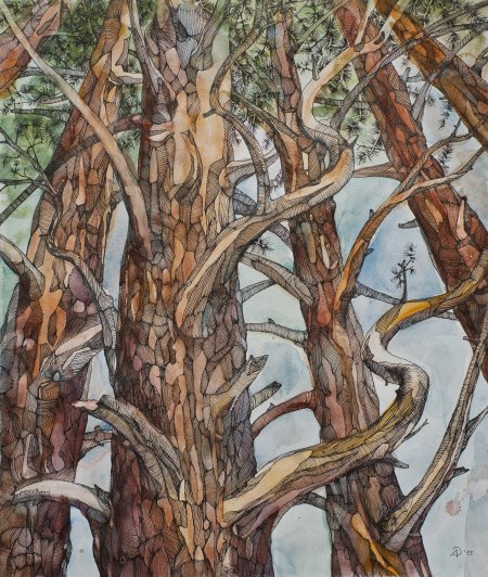 Этюд шишкина сосна на скале