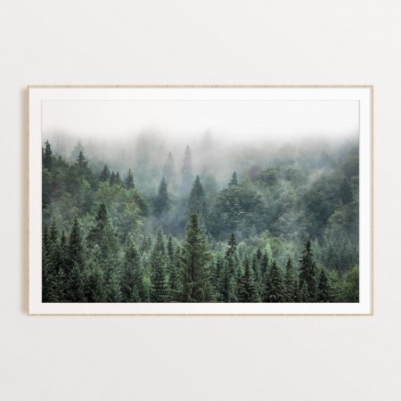 Картина лес в тумане