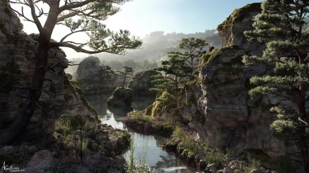 Деревья на скалах