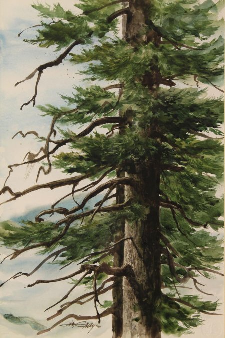 Дерево акварель