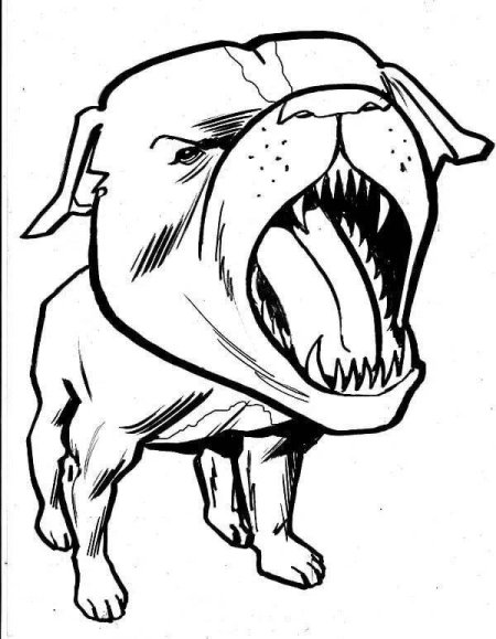 Американский бульдог