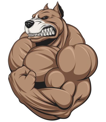 Медведь качок