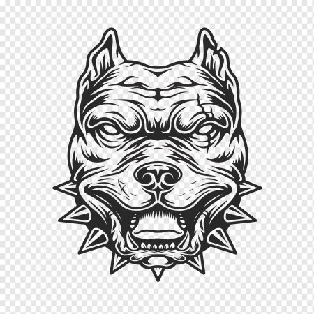 Питбуль тату эскиз