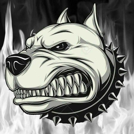 Злая собака