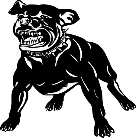 Стаффордширский бультерьер оскал