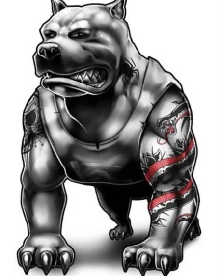 Тату питбуль эскиз
