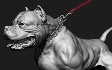 Стаффорд боец