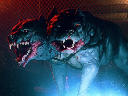 Злые питбули