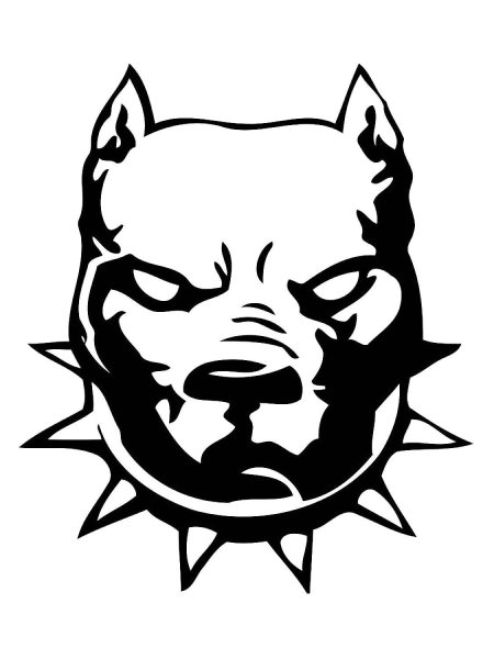 Питбуль эскиз тату