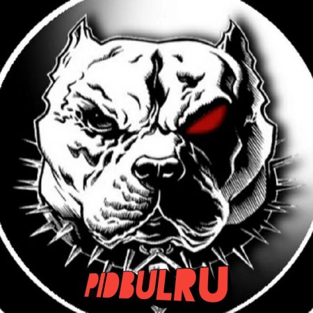 Эскиз питбуль