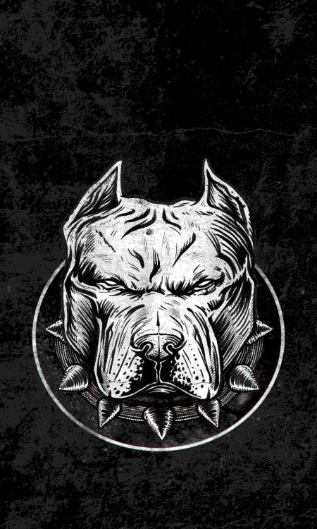 Наклейка питбуль