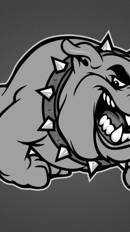 Злая собака