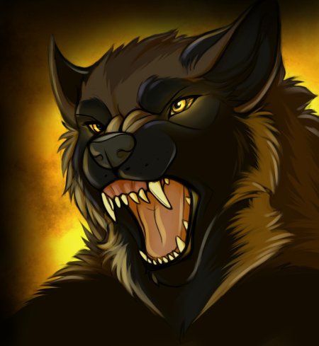 Фурри blackwolf