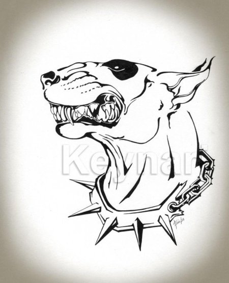 Оскал собаки тату