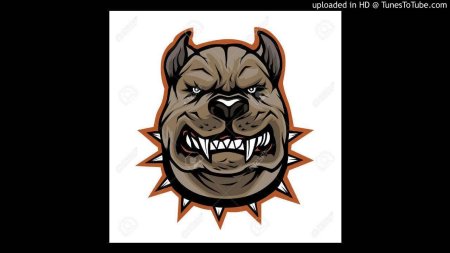 Злой питбуль рисунок