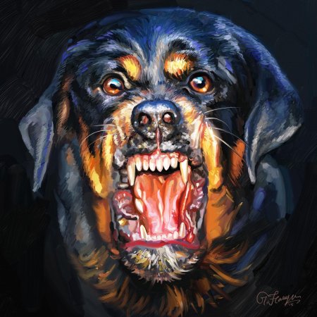 Винсент ротвейлер