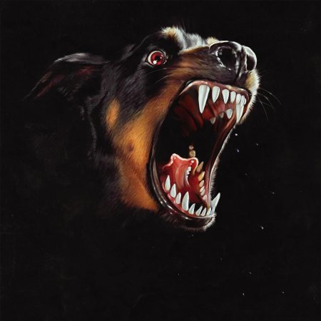 Доберман оскал