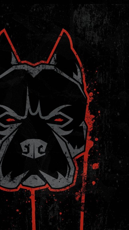 Логотип питбуль в хорошем качестве