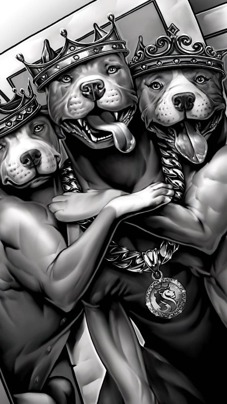 Тату чикано эскизы питбуль