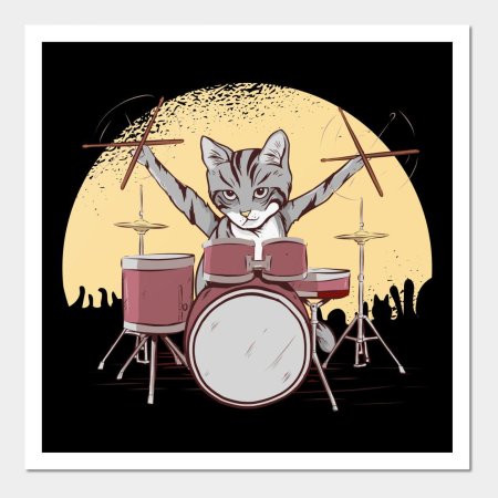 Drummer cat
