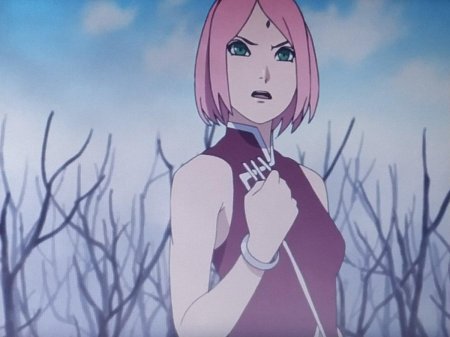 Сакура в боруто