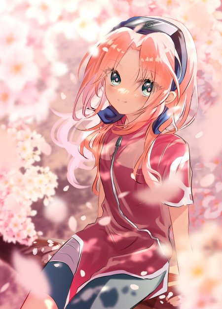 Аниме сакура