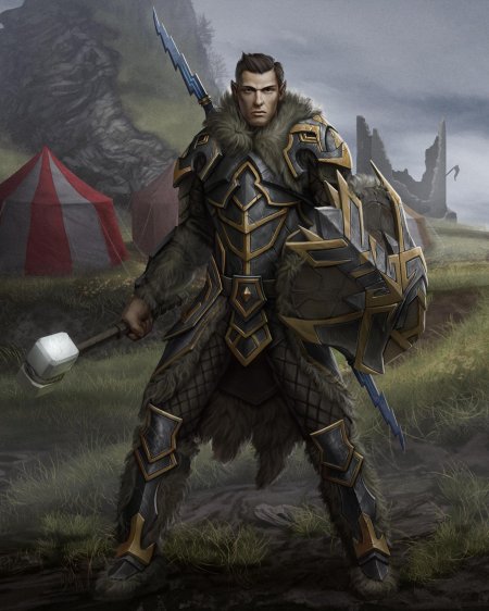 Эльф паладин днд