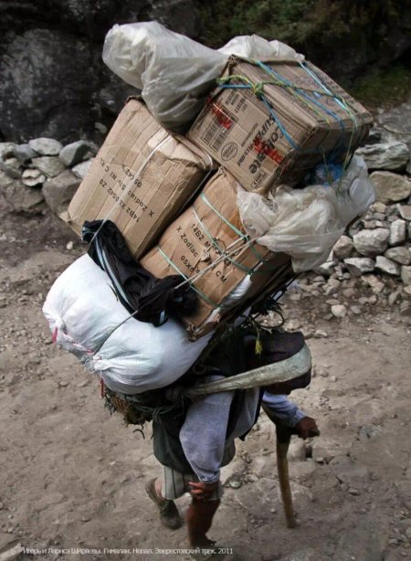 Шерпы носильщики