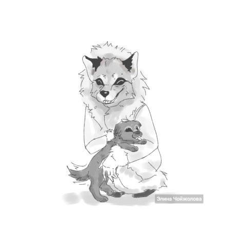 Эскиз волк