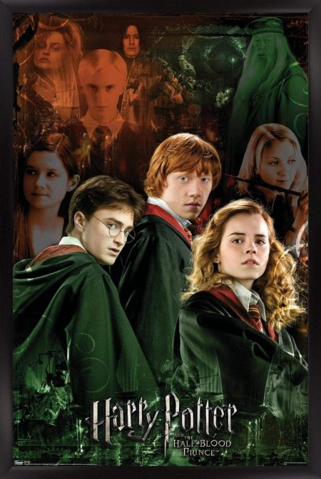 Гарри рон и гермиона принц полукровка