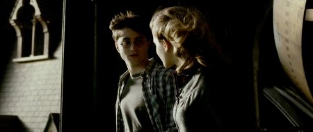 Гарри поттер и гермиона грейнджер