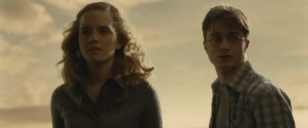 Гермиона грейнджер и гарри поттер