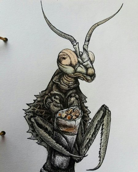 Богомол рисунок