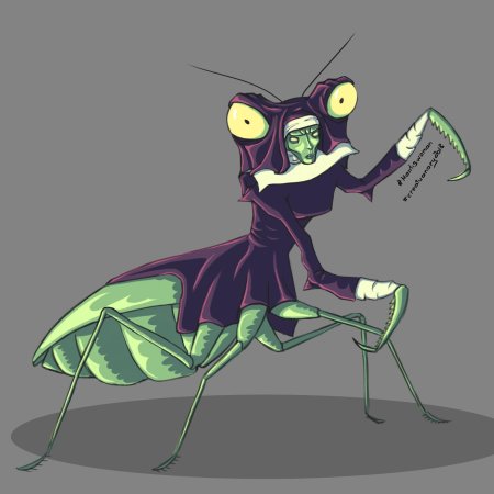 Креветка богомол мантис