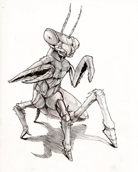 Богомол карандашом