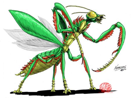 Камакурас богомол