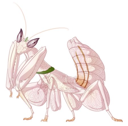 Богомол орхидейный белый