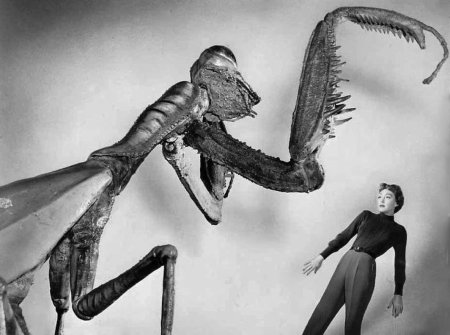 Смертельный богомол фильм