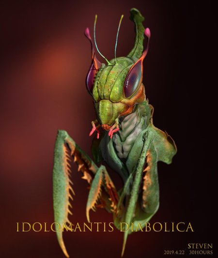 Богомол idolomantis diabolica