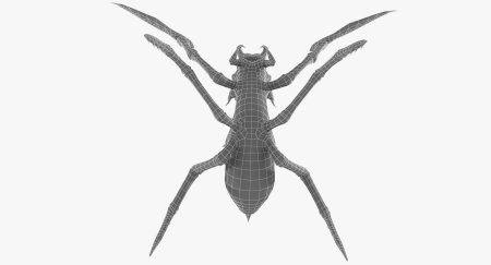 Ewa d модель \ паук\